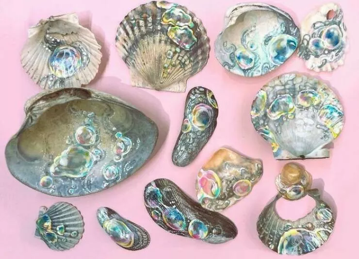 Collections uniques et impressionnantes partagees par des passionnes - #29 Des coquillages de ma plage locale transformés en peintures uniques