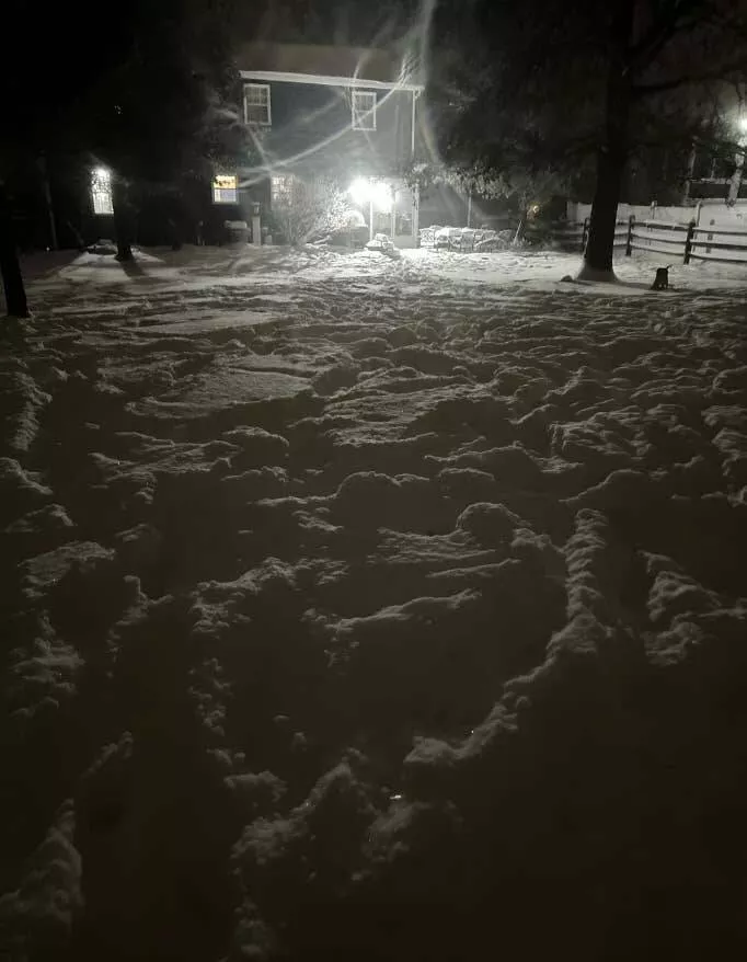 Les incidents hivernaux les plus droles - #3 La personne malchanceuse qui a perdu ses clés sous toute cette neige