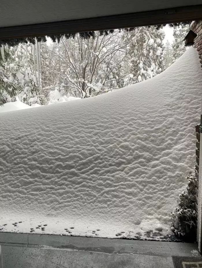 The funniest winter mishaps - #4 The person who had to climb out of their snow-blocked driveway