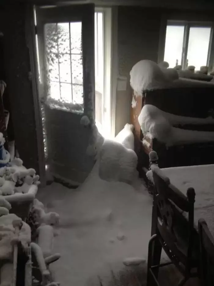 The funniest winter mishaps - #5 The homeowner who left the door open during a blizzard