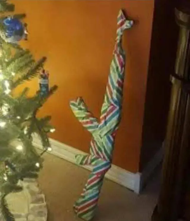 Picdump 979 - #23 