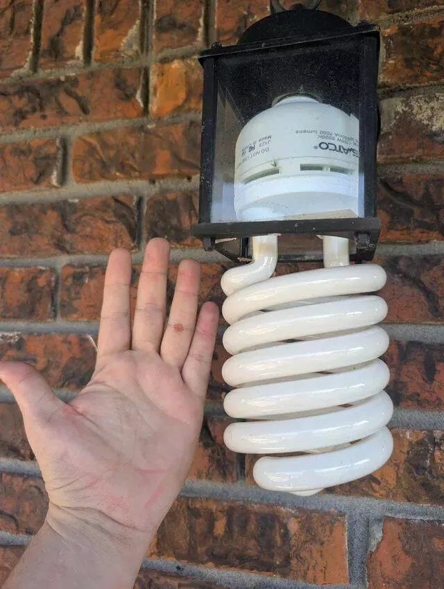 Picdump 979 - #29 
