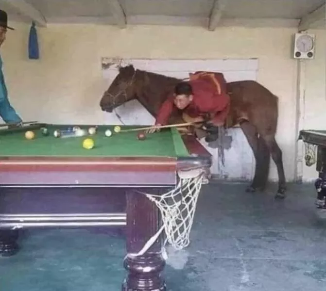 Picdump 979 - #32 