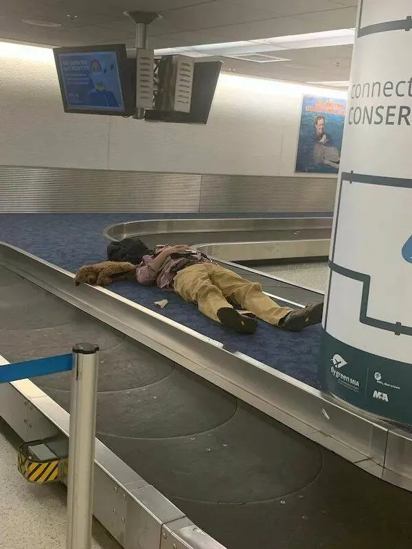 Picdump 979 - #35 