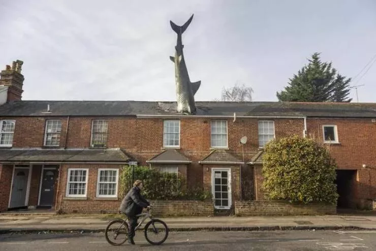 Picdump 979 - #40 