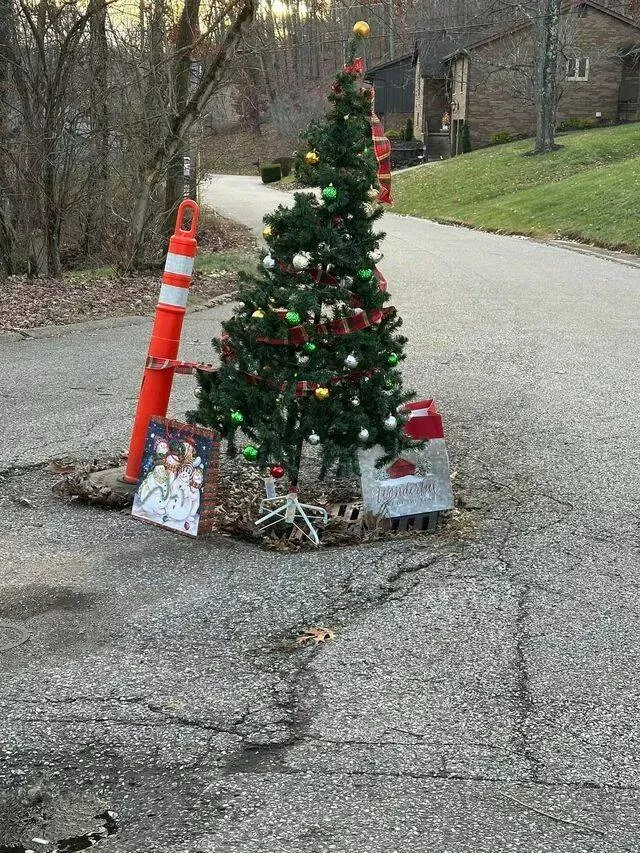 Picdump 979 - #54 