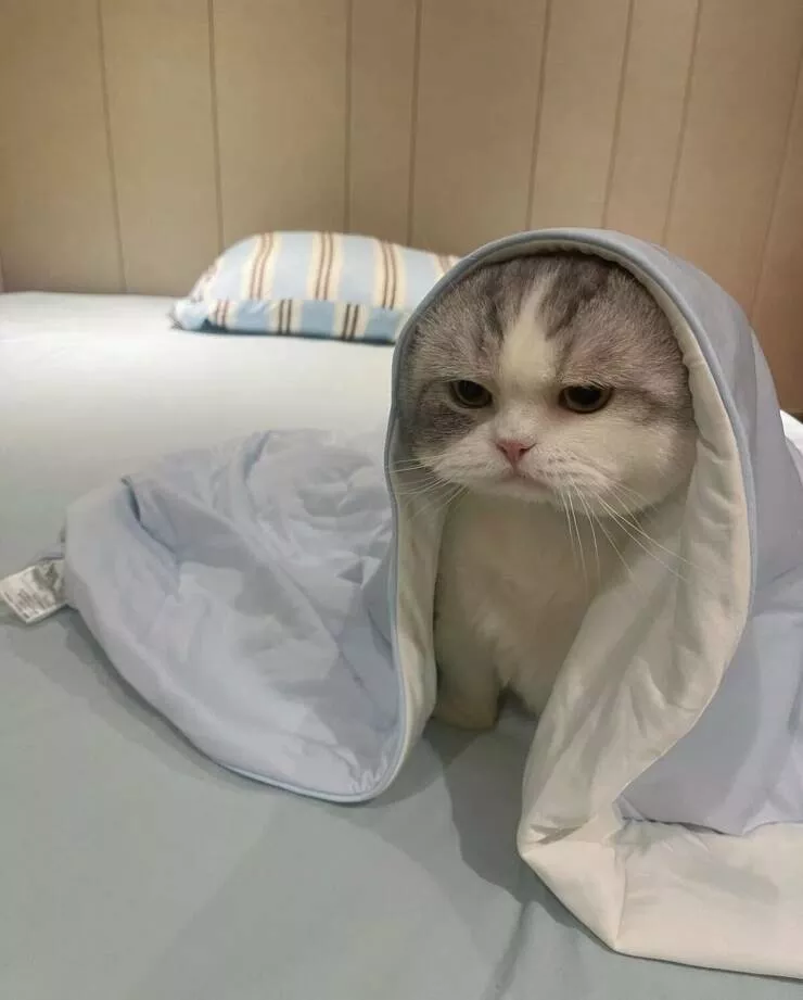 Picdump 980 - #47 