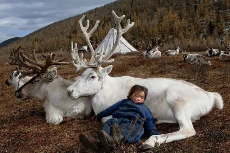 Picdump 981 - #18 