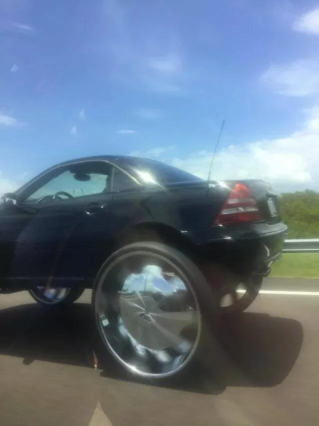 Picdump 981 - #25 