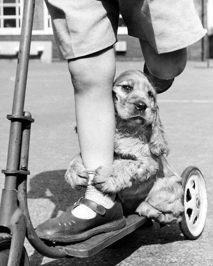 Picdump 981 - #28 