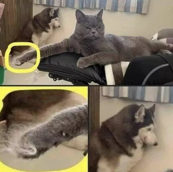 Picdump 981 - #40 