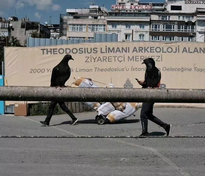 Picdump 981 - #57 