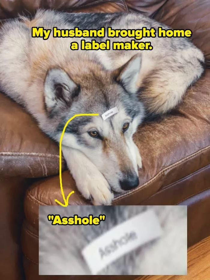 Hilarious moments from married life - #10 