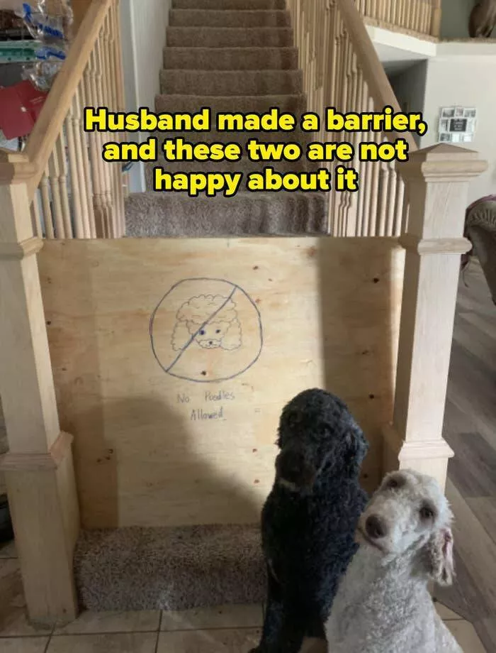 Hilarious moments from married life - #25 