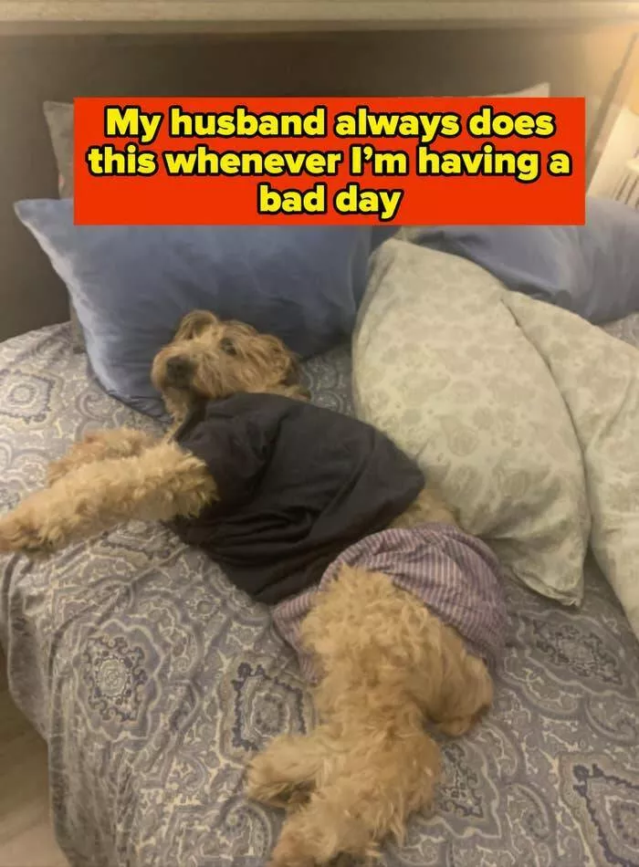 Hilarious moments from married life - #31 