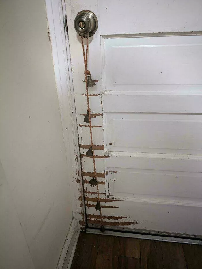 Hilarious moments from married life - #23 The bells hanging on my parents’ back door