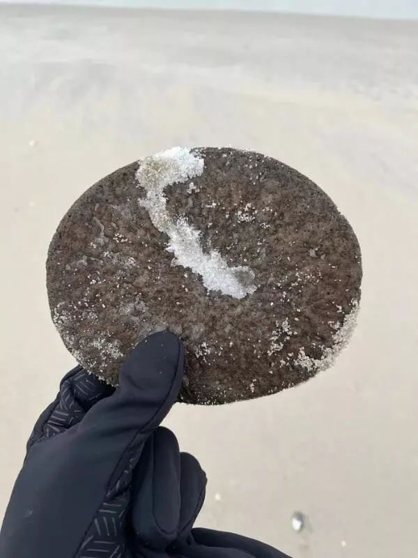 What are these bizarre items identified online - #6 