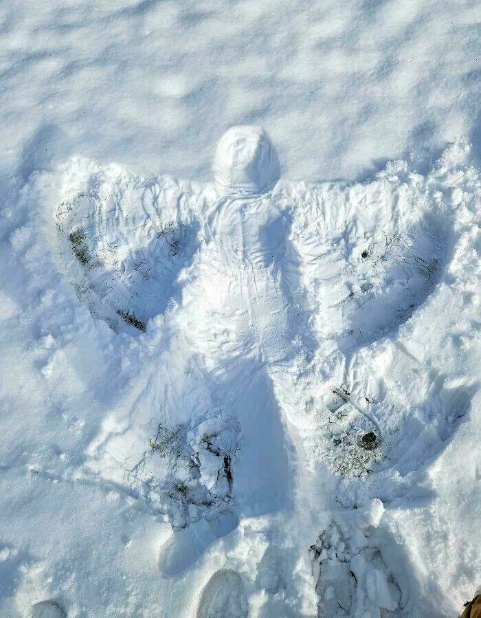Photos that make you look twice - #7 