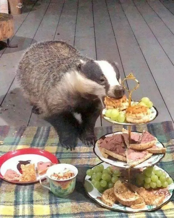 Picdump 984 - #56 