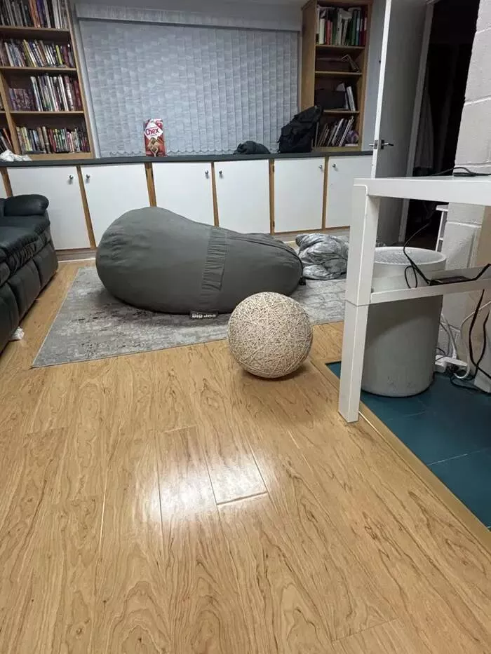Rare and fascinating photos you have to see - #18 A 40-pound ball made entirely of rubber bands