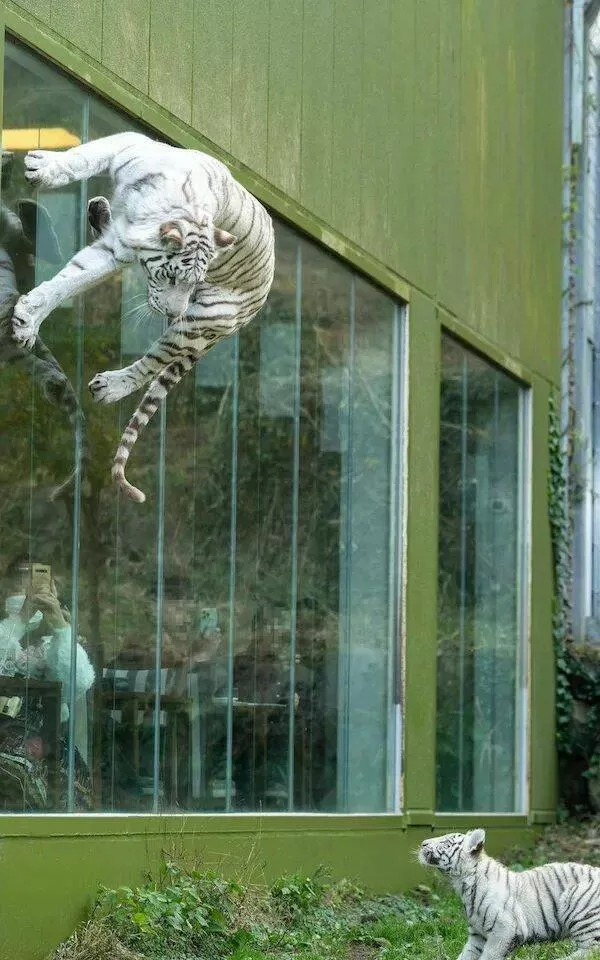 Picdump 985 - #14 