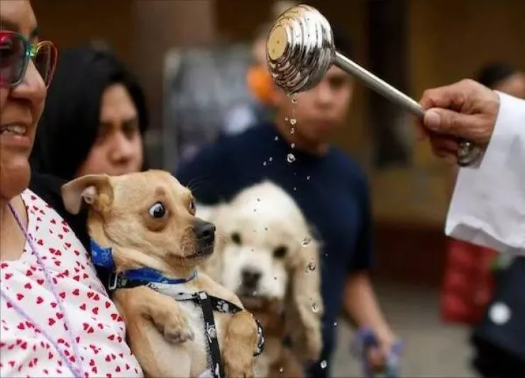 Picdump 985 - #3 