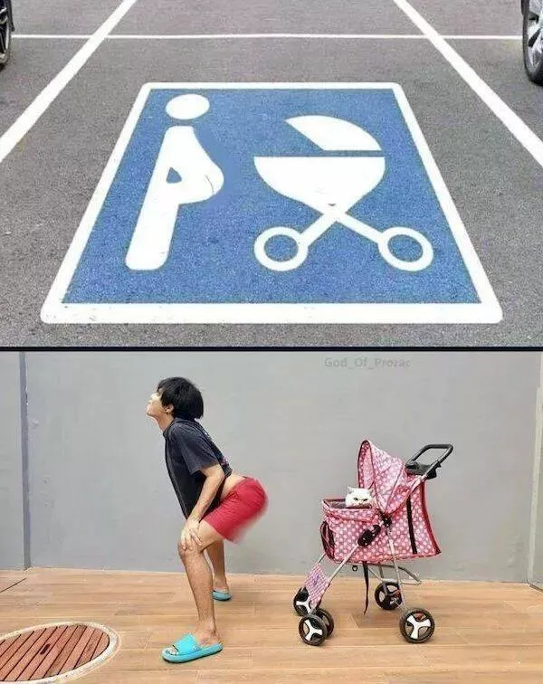 Picdump 985 - #8 