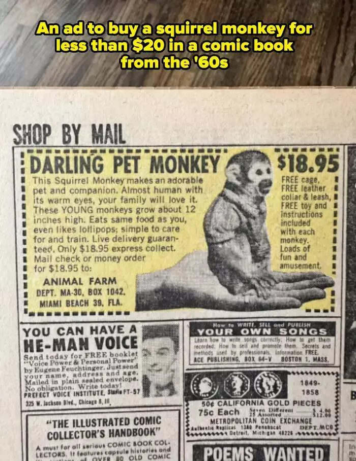 Fascinating historical facts they skipped in class - #30 This ad is somehow more bizarre. A pet monkey for under $20???