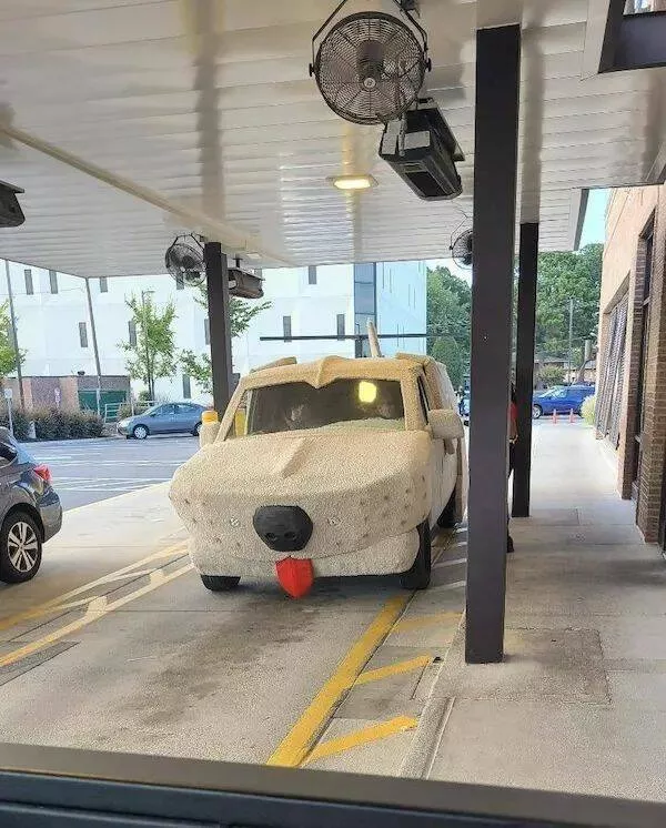 Picdump 986 - #17 