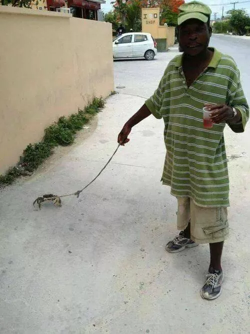 Picdump 986 - #41 Picdump 986 - #41