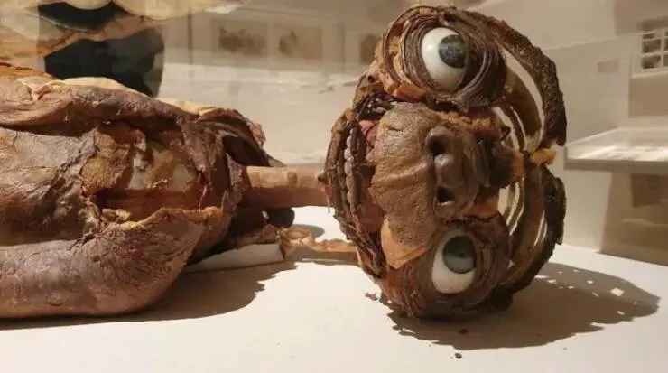 Fascinating images from around the world - #15 The ET puppet still exists, but it’s in rough shape: