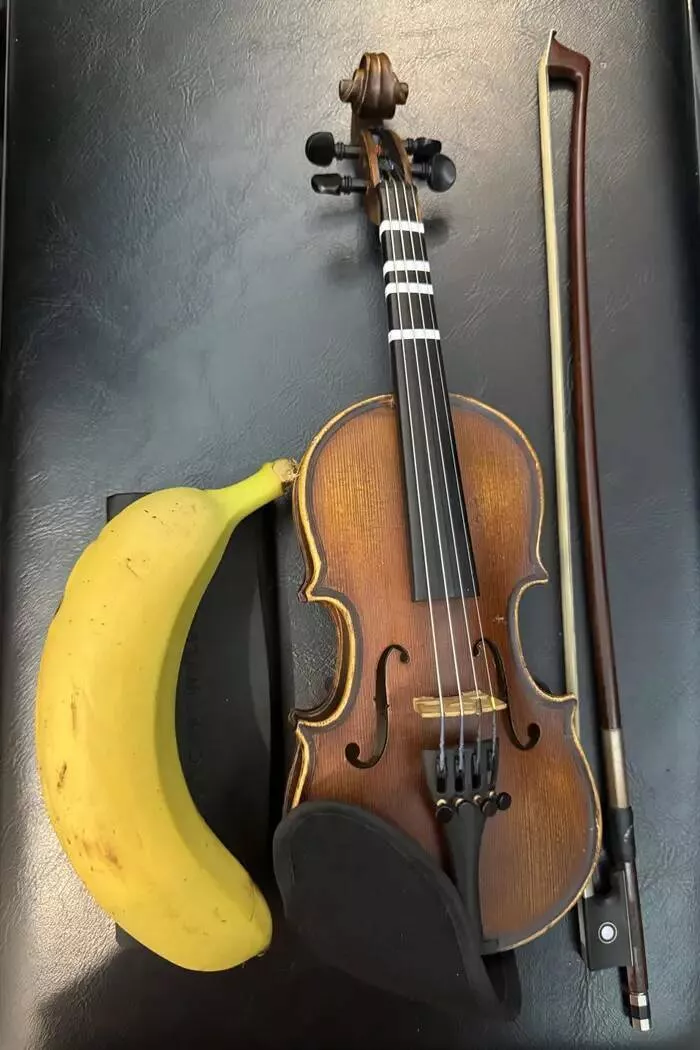 Fascinating images from around the world - #22 Violins made for children are incredibly tiny: