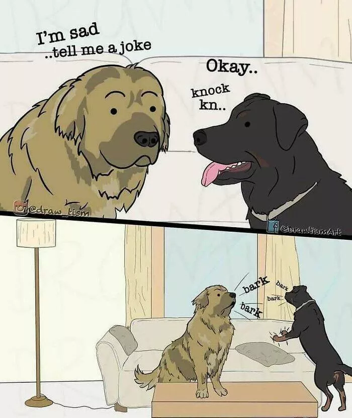 Quand les animaux deviennent involontairement des memes hilarants - #2 