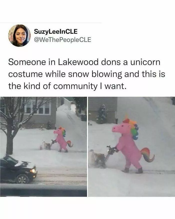 Quand les animaux deviennent involontairement des memes hilarants - #28 