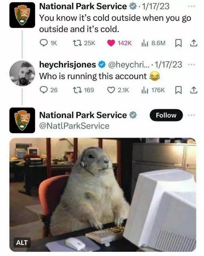 Quand les animaux deviennent involontairement des memes hilarants - #3 