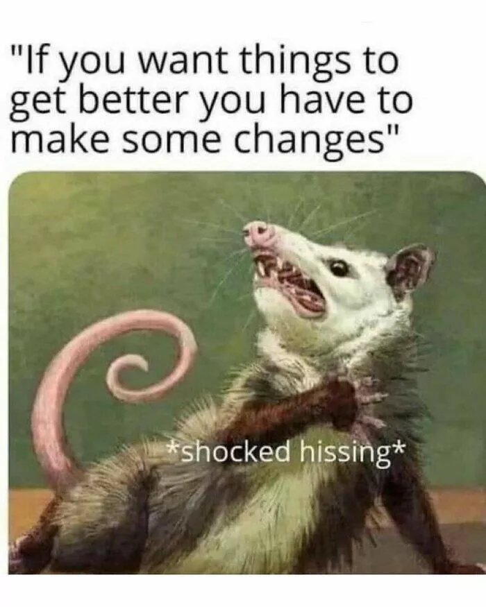 Quand les animaux deviennent involontairement des memes hilarants - #41 Quand les animaux deviennent involontairement des memes hilarants - #41