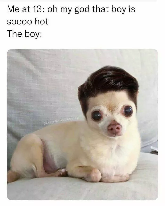 When animals unknowingly created the funniest memes - #45 