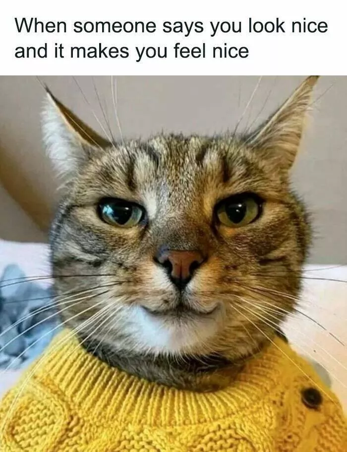 Quand les animaux deviennent involontairement des memes hilarants - #5 