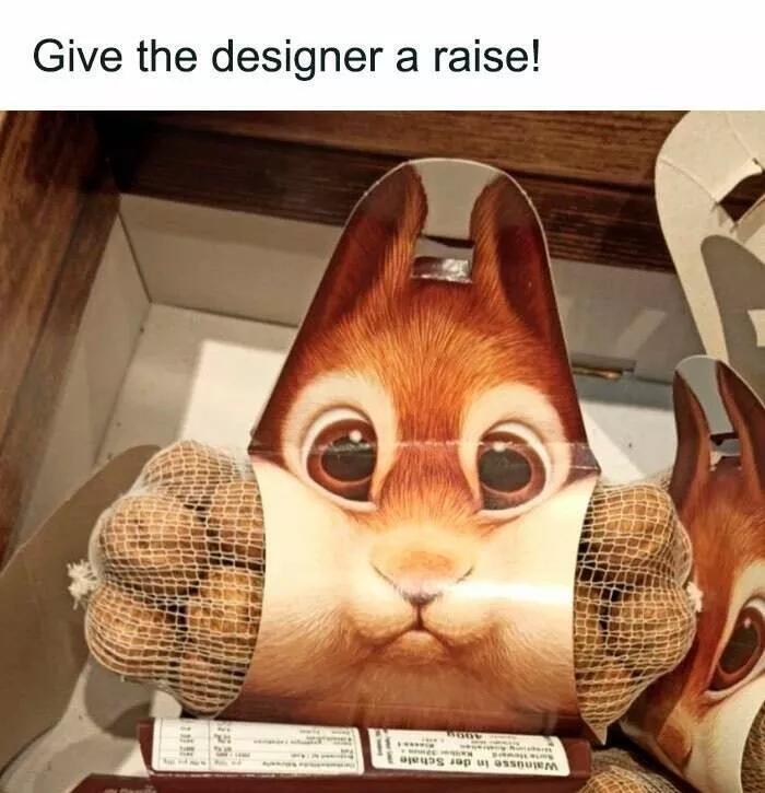 When animals unknowingly created the funniest memes - #8 