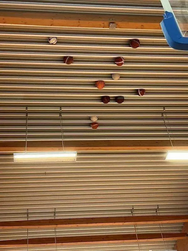 Picdump 988 - #16 