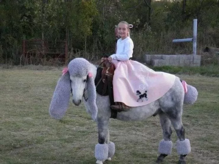 Picdump 988