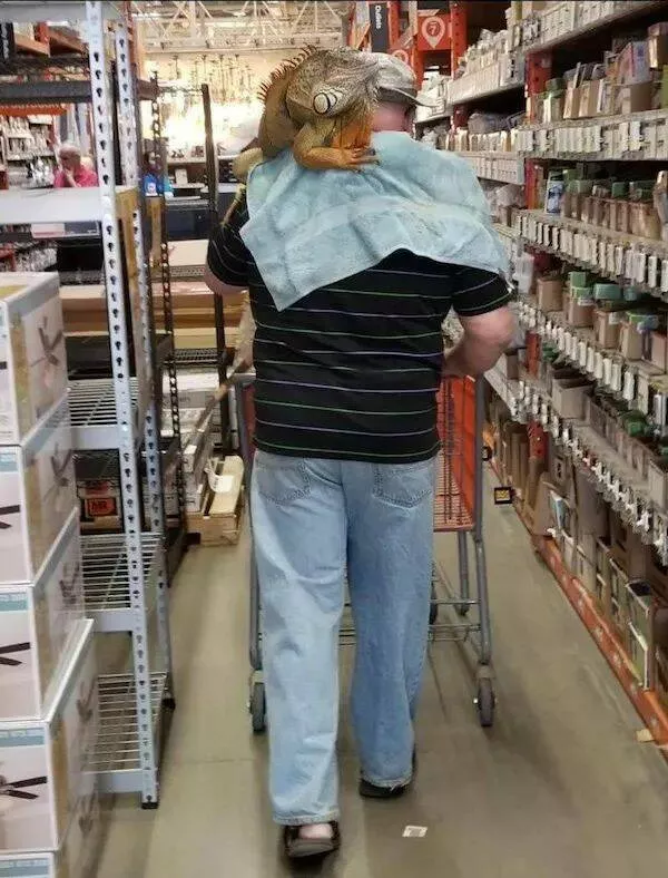 Picdump 988 - #34 