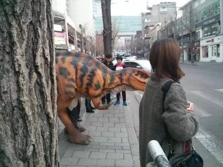 Picdump 988 - #57 
