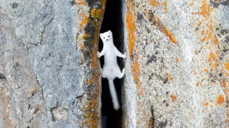 Picdump 989
