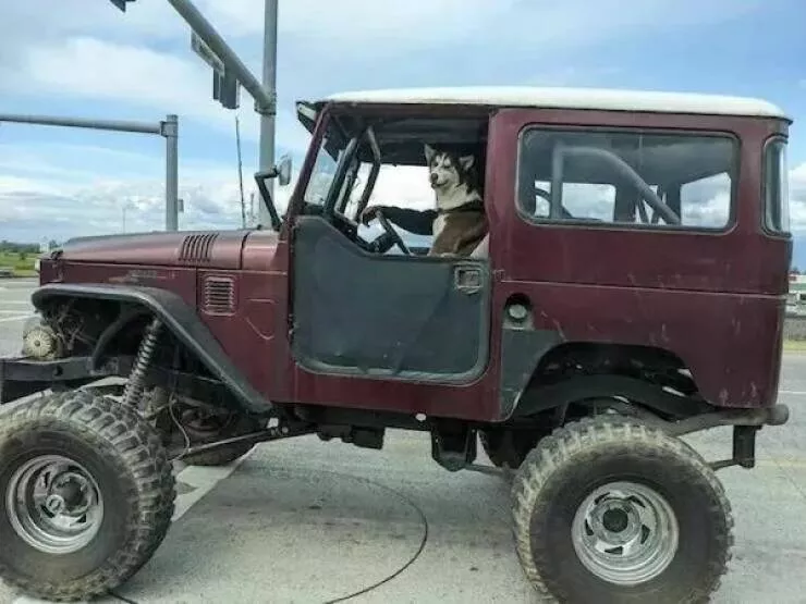 Picdump 989 - #9 