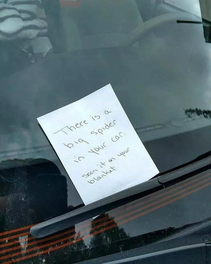 Picdump 992 - #16 