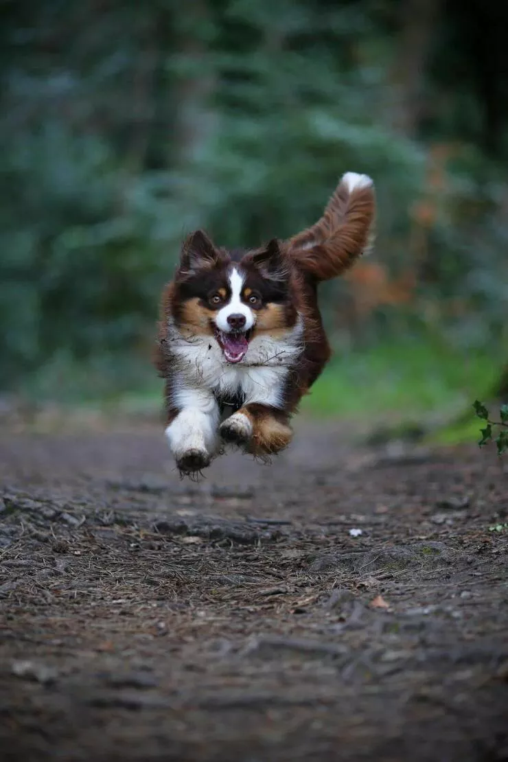 Picdump 992 - #26 
