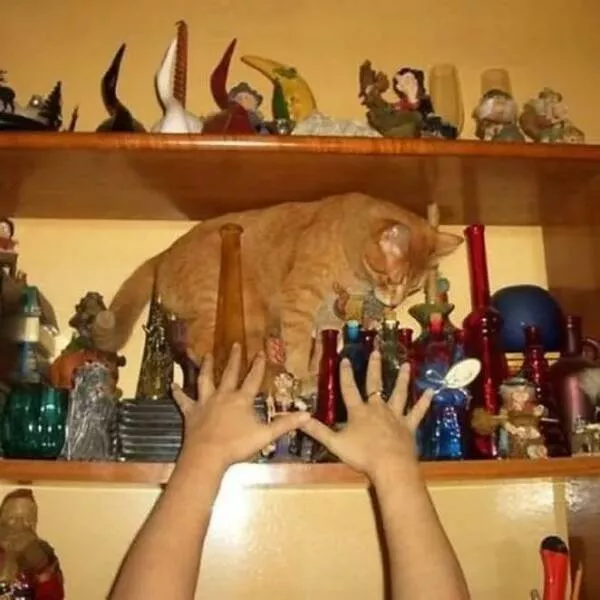 Picdump 992 - #33 