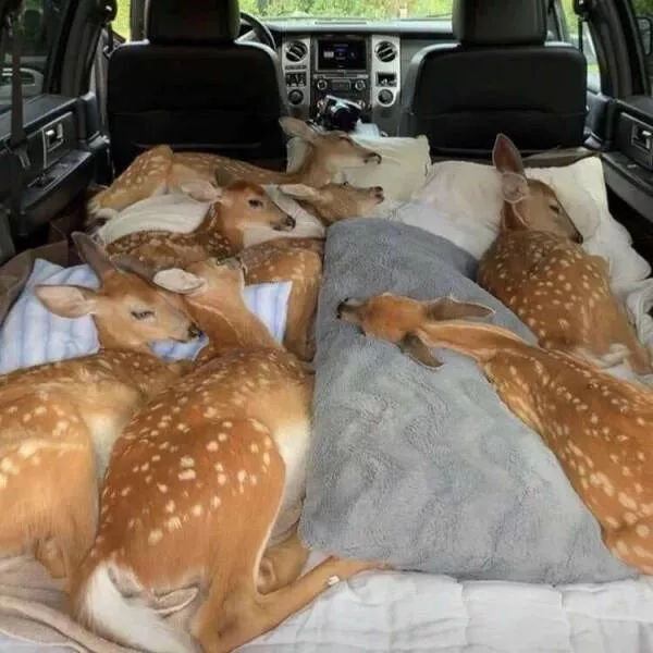 Picdump 992 - #35 