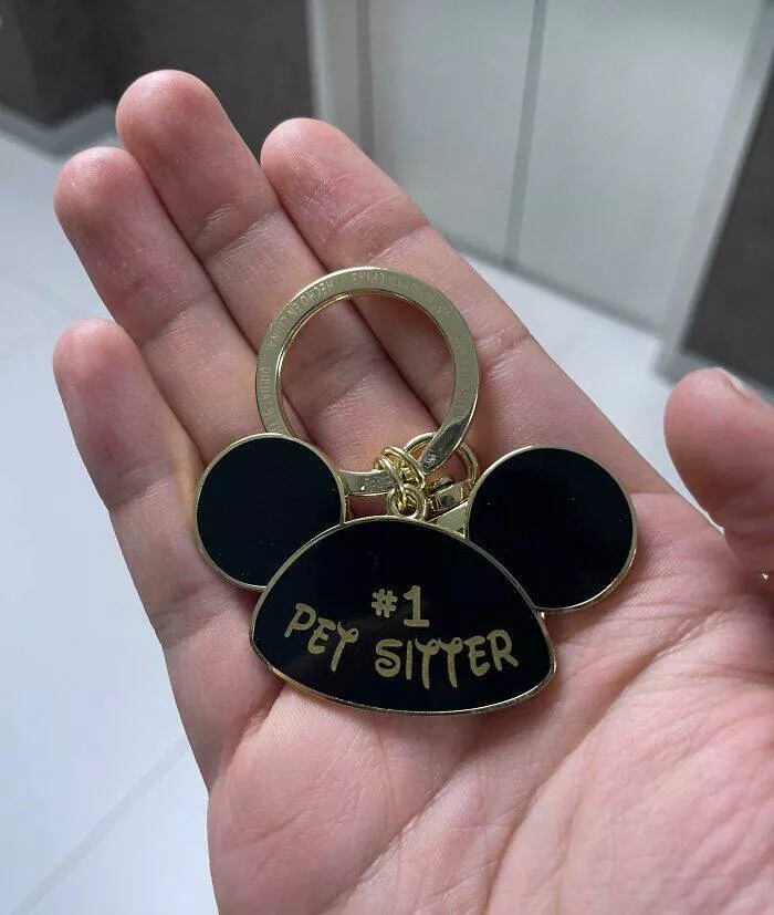 When awful coworkers pushed too far and got put on blast - #14 Watched My Coworker’s Cats For Two Weeks, We Agreed On A ~$50 LEGO Set As My Payment. All I Got Was A Keychain